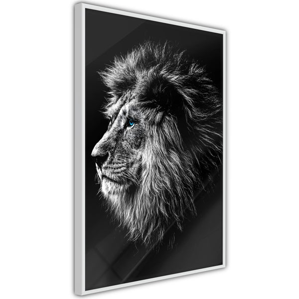 Poster - Old King  - wit