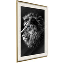 Poster - Old King  - goud passepartout
