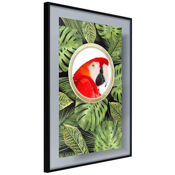 Poster - Parrot Says Hi  - zwart