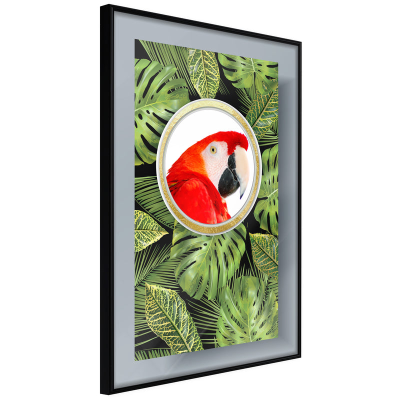 Poster - Parrot Says Hi  - zwart