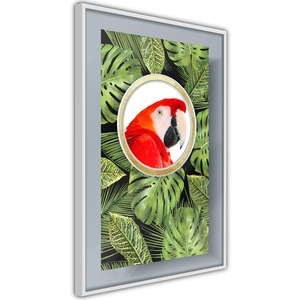 Poster - Parrot Says Hi  - wit