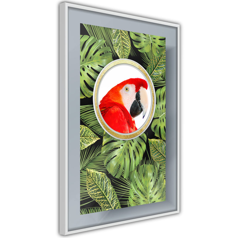 Poster - Parrot Says Hi  - wit