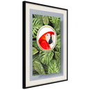 Poster - Parrot Says Hi  - zwart passepartout