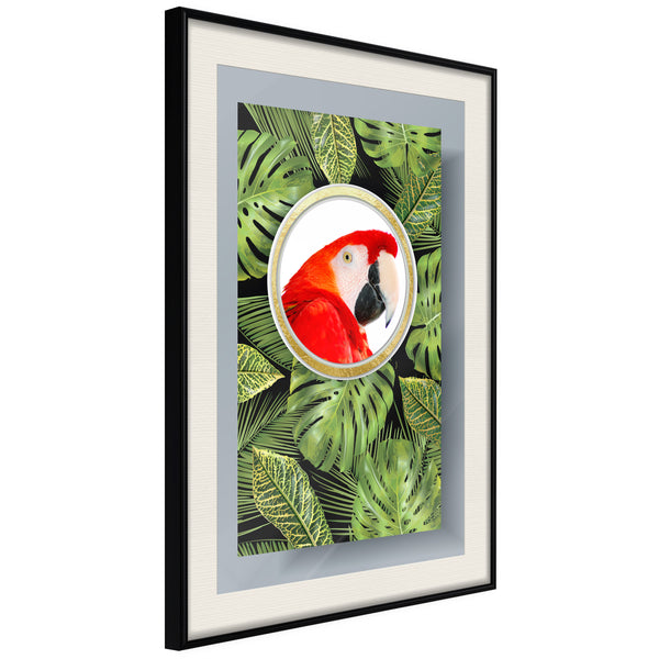 Poster - Parrot Says Hi  - zwart passepartout