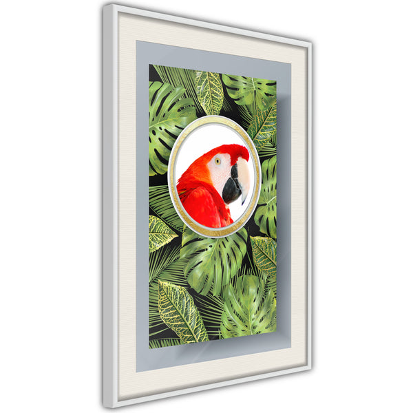 Poster - Parrot Says Hi  - wit passepartout