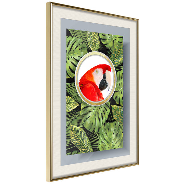 Poster - Parrot Says Hi  - goud passepartout