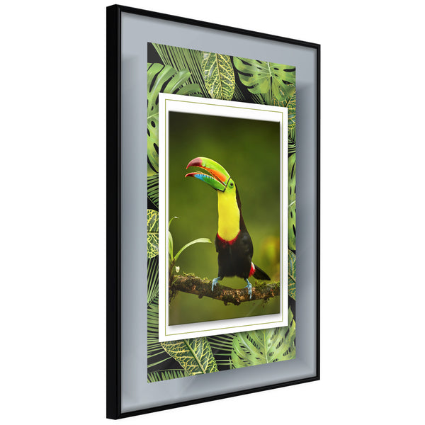 Poster - Toucan in the Frame  - zwart