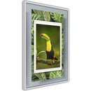 Poster - Toucan in the Frame  - wit