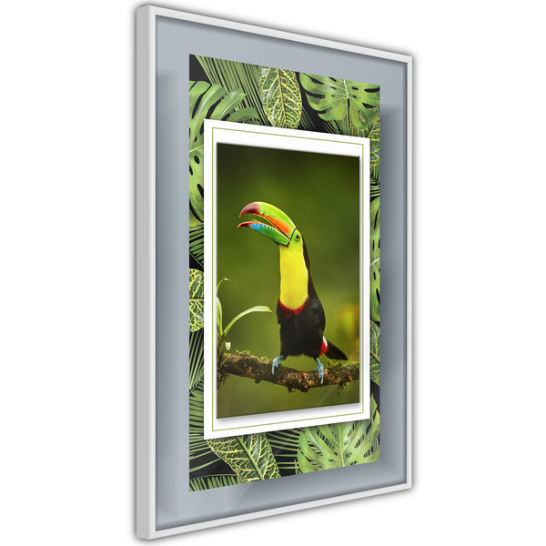 Poster - Toucan in the Frame  - wit