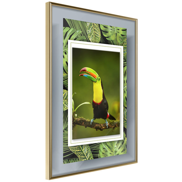 Poster - Toucan in the Frame  - goud