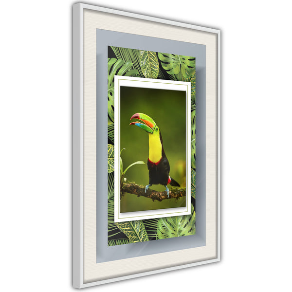 Poster - Toucan in the Frame  - wit passepartout