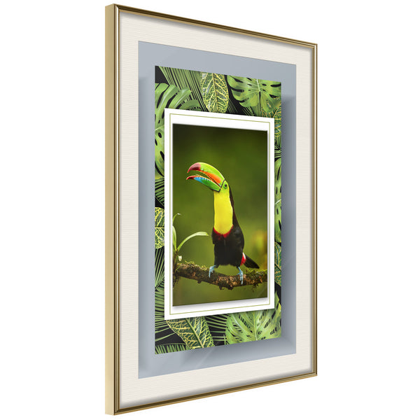 Poster - Toucan in the Frame  - goud passepartout