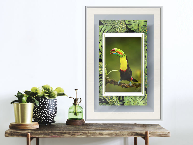 Poster - Toucan in the Frame  - wit passepartout