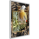 Poster - Composition with Gold Parrot  - wit