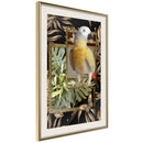 Poster - Composition with Gold Parrot  - goud passepartout