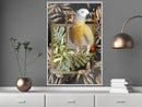 Poster - Composition with Gold Parrot  - wit