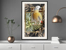 Poster - Composition with Gold Parrot  - zwart passepartout