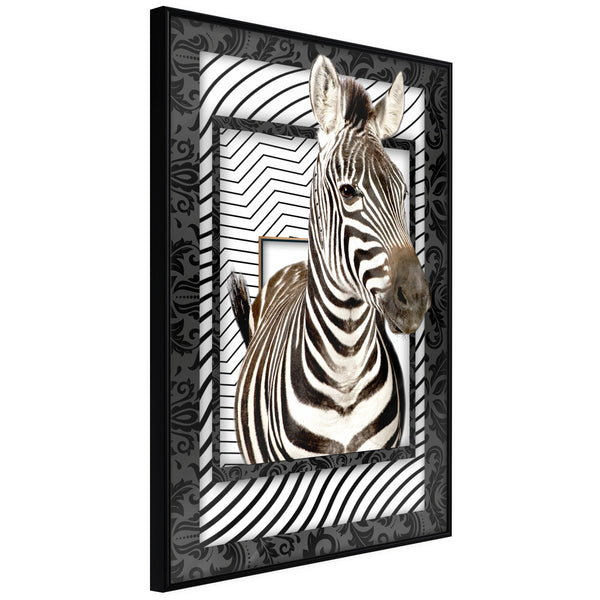 Poster - Zebra in the Frame  - zwart