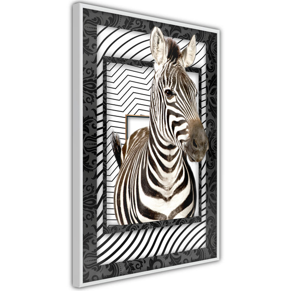 Poster - Zebra in the Frame  - wit