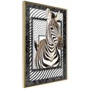 Poster - Zebra in the Frame  - goud