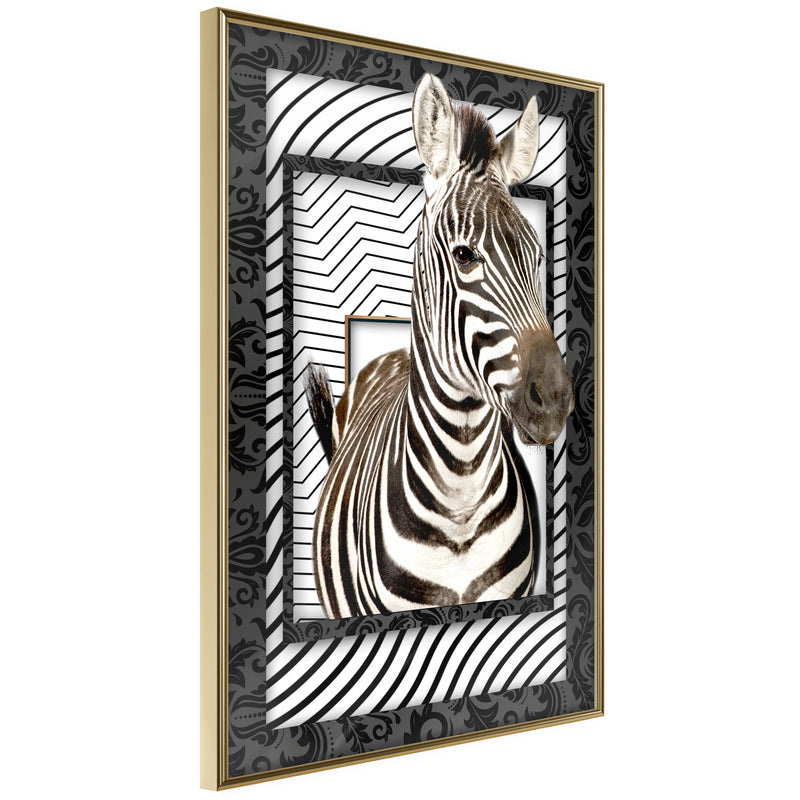 Poster - Zebra in the Frame  - goud