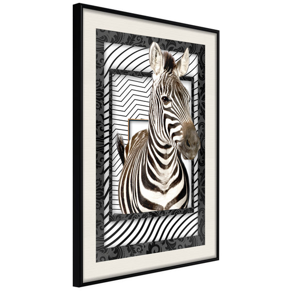 Poster - Zebra in the Frame  - zwart passepartout