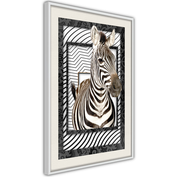 Poster - Zebra in the Frame  - wit passepartout