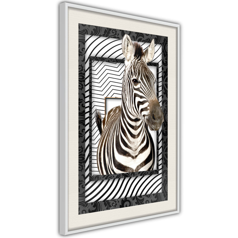 Poster - Zebra in the Frame  - wit passepartout