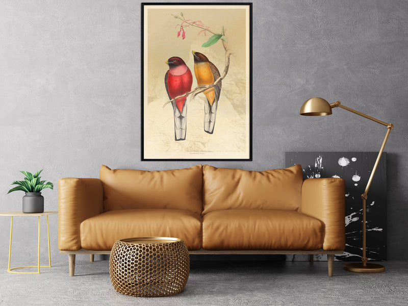 Poster - Ornithologist's Drawings  - zwart