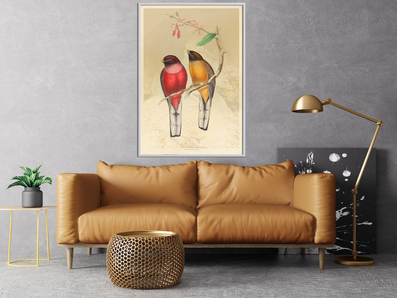 Poster - Ornithologist's Drawings  - wit