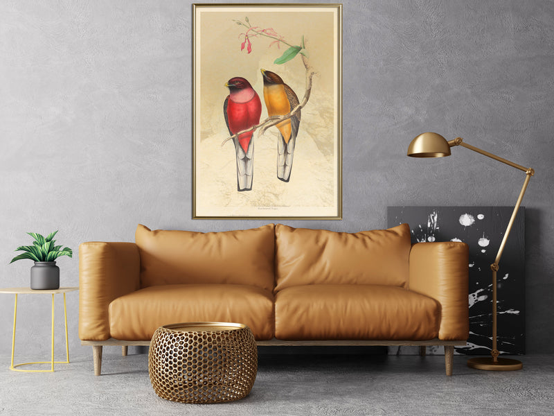 Poster - Ornithologist's Drawings  - goud