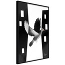 Poster - Caught in Flight  - zwart