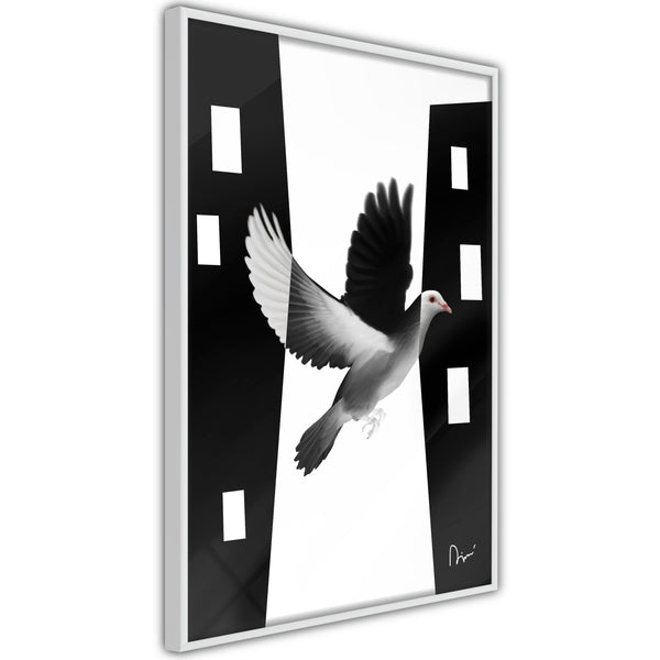 Poster - Caught in Flight  - wit
