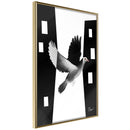 Poster - Caught in Flight  - goud