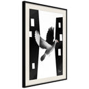 Poster - Caught in Flight  - zwart passepartout