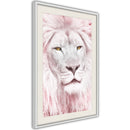 Poster - Dreamy Lion  - wit passepartout