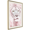 Poster - Dreamy Lion  - goud passepartout