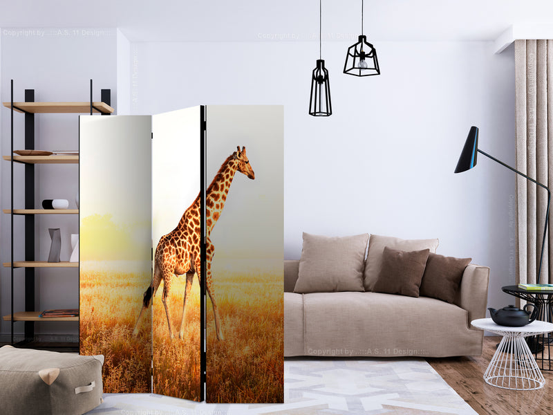 https://www.fotoartgeist.pl/ebaytemp/parawan/g-C-0178-z-b/g-C-0178-z-b-ebVis2.jpg
