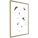 Poster - Birds  - goud