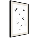 Poster - Birds  - zwart passepartout
