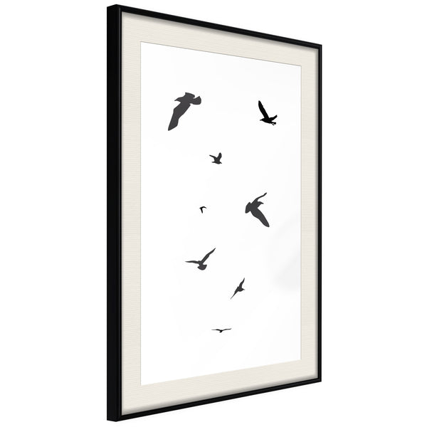 Poster - Birds  - zwart passepartout