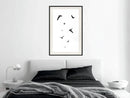 Poster - Birds  - zwart passepartout