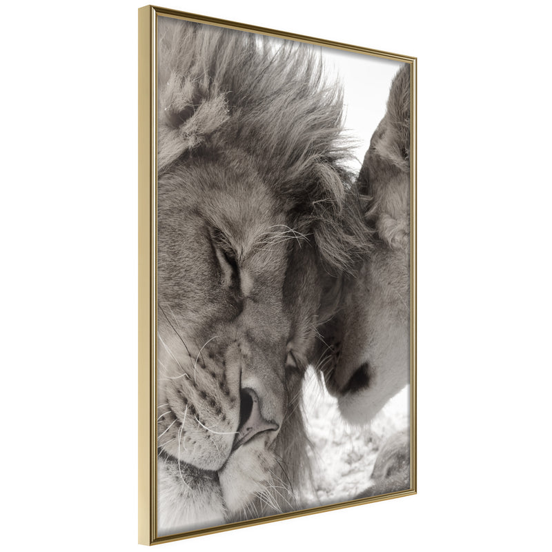 Poster - Predatory Couple  - goud