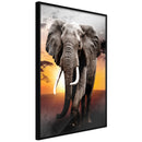 Poster - Majestic Elephant  - zwart