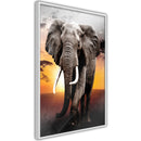 Poster - Majestic Elephant  - wit