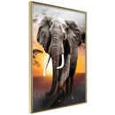 Poster - Majestic Elephant  - goud
