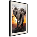 Poster - Majestic Elephant  - zwart passepartout