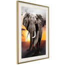 Poster - Majestic Elephant  - goud passepartout