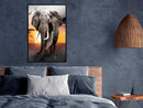 Poster - Majestic Elephant  - zwart