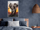 Poster - Majestic Elephant  - wit